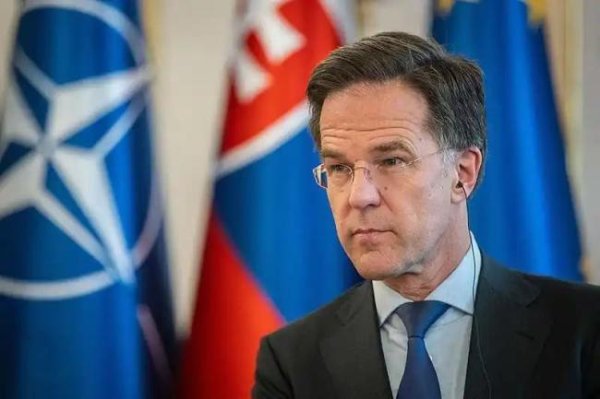 优配股 欧洲真的会在未来三年内对俄宣战吗 俄军官拉响警报