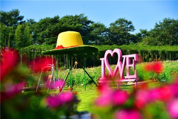 龙辉优配 打卡新地标！佛山卡玛缤纷花世界：在大草帽与秋千间邂逅秋天诗意