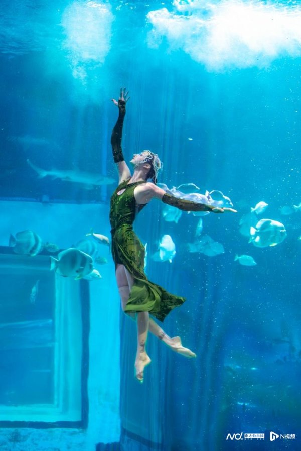 华盛配资 运动员免费! 正佳极地海洋世界送出多项福利迎全运会